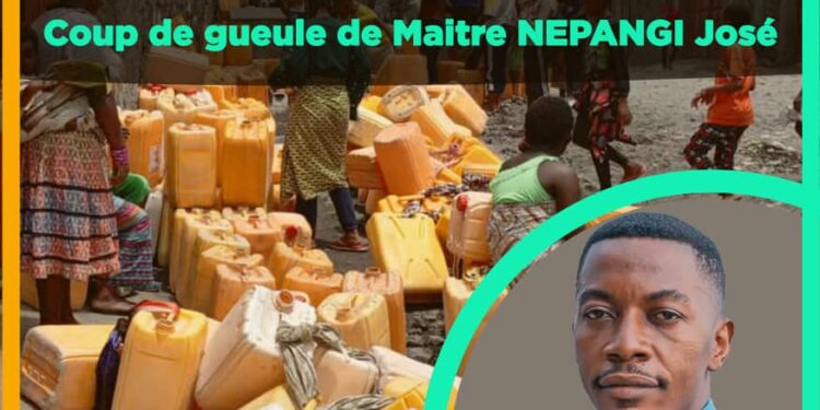 Une seule zone linguistique ne doit pas avoir à elle seule plus de la moitié ou la moitié, voire même le quart des membres qui composent le nouveau gouvernement. Coup de gueule de Me NEPANGI José, élu du Sud kivu dans son message intitulé « LES VOIX OUBLIÉES DU GOUVERNEMENT SUMINWA 1 »