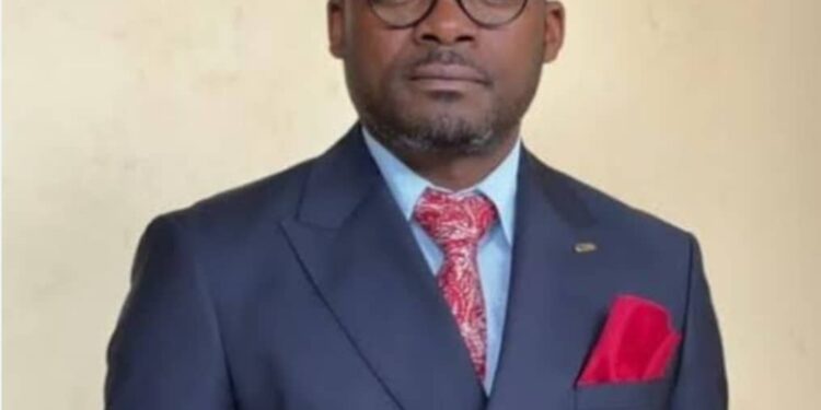 Sud Kivu : 15 ans après, le peuple congolais vient d’avoir une assemblée nationale sur qui il faut compter, avec Vital KAMERHE à sa tête. (Dr John KITUMAINI)