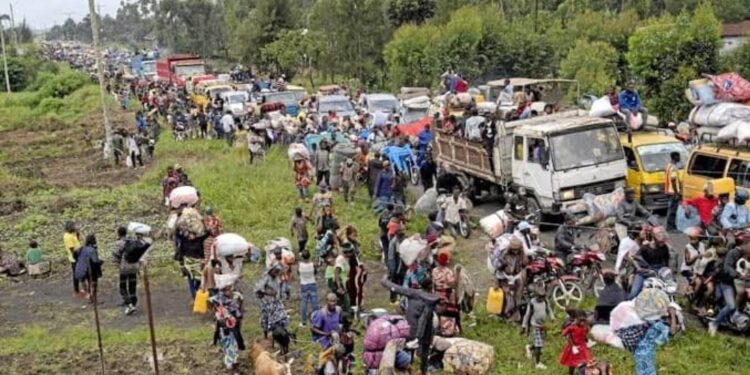 Guerre à l’Est de la RDC: La société civile du Nord Kivu appelle le VPM de la défense et le chef d’État major général à réorganiser les troupes