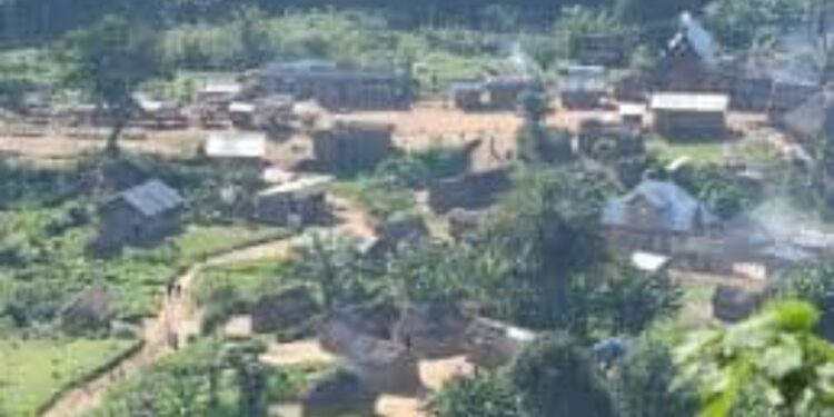 Kalehe: Plus de 200 personnes tuées par le M23.(Communiqué administrateur du territoire)