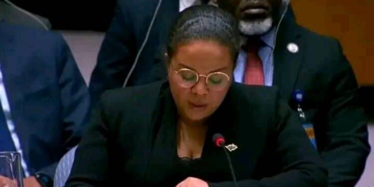 Guerre à l’Est de la RDC: Si ce conseil échoue, la rue va s’en charger. La rue n’a pas d’ordre, prévient la ministre congolaise des affaires étrangères lors de la réunion du conseil de sécurité de l’ONU