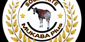 L’insécurité alimentaire à Kabare : Un défi majeur à surmonter ( Solidarité Mukaba Plus )