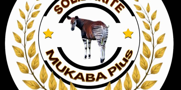 L’insécurité alimentaire à Kabare : Un défi majeur à surmonter ( Solidarité Mukaba Plus )