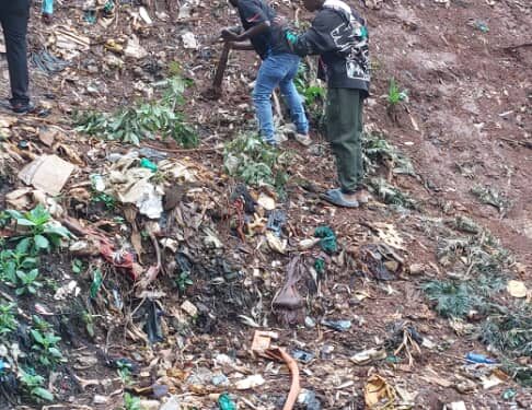 Kadutu : Le bourgmestre a.i maître René Bulikoliko lance une campagne de reboisement pour un avenir durable