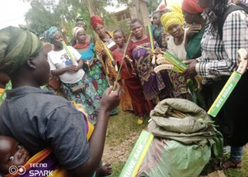 IDJWI : Succès de la 2e phase de graduation des caféicultrices par CADI Coop-CA Idjwi, sous la direction du PCA Olivier Mayanga