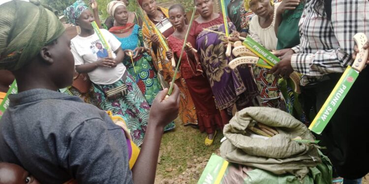 IDJWI : Succès de la 2e phase de graduation des caféicultrices par CADI Coop-CA Idjwi, sous la direction du PCA Olivier Mayanga