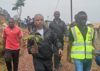 IBANDA : Eugène Mubalama supervise le salongo, lance les travaux d&rsquo;un escalier à Mukukwe et plante les arbres pour la protection du cimetière de la Ruzizi