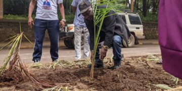 Ibanda : tournée musclée du Bourgmestre a.i Jonathan Kanane axée sur le salongo, le reboisement et la médiation sociale