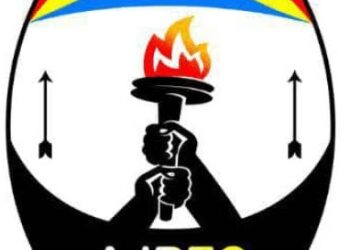 Sud-kivu / Élections  : Le gouvernement provincial n&rsquo;est ni de près ni de loin impliqué dans les actions des dénonciations menées par Les Jeunes révolutionnaires et Les Jeunes patriotes ( Point de presse)