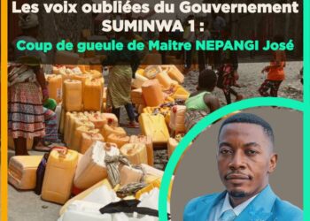 Une seule zone linguistique ne doit pas avoir à elle seule plus de la moitié ou la moitié, voire même le quart des membres qui composent le nouveau gouvernement. Coup de gueule de Me NEPANGI José, élu du Sud kivu dans son message intitulé « LES VOIX OUBLIÉES DU GOUVERNEMENT SUMINWA 1 »