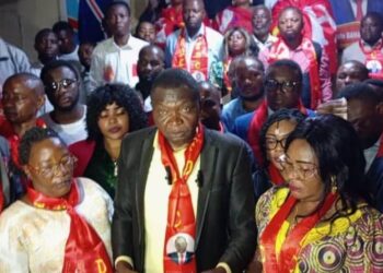 Sud Kivu : L’AFDC A qualifie de provocation la récente manifestation des combattants de l’UDPS et lance un message fort aux tireurs des ficelles