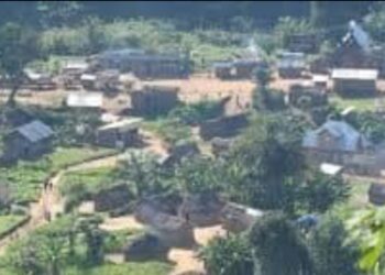 Kalehe: Plus de 200 personnes tuées par le M23.(Communiqué administrateur du territoire)
