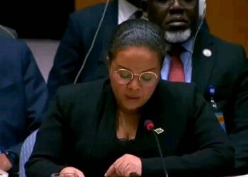 Guerre à l&rsquo;Est de la RDC: Si ce conseil échoue, la rue va s’en charger. La rue n’a pas d&rsquo;ordre, prévient la ministre congolaise des affaires étrangères lors de la réunion du conseil de sécurité de l’ONU