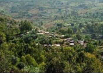 Sud Kivu: Les notables de Wamuzimu, tout en dénonçant l&rsquo;exploitation illégale des minerais dans la zone, veulent que ces derniers profitent à la chefferie et à la population locale