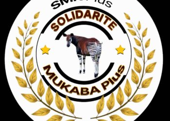 L&rsquo;insécurité alimentaire à Kabare : Un défi majeur à surmonter ( Solidarité Mukaba Plus )