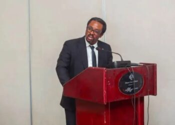 Gratuité de l’enseignement primaire : un principe constitutionnel non négociable, insiste l&rsquo;honorable NAMAZIHANA Bachoke Patrick
