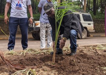 Ibanda : tournée musclée du Bourgmestre a.i Jonathan Kanane axée sur le salongo, le reboisement et la médiation sociale