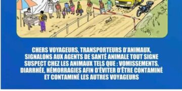 Prévention d’Ebola au Sud-Kivu : les transporteurs et voyageurs sensibilisés sur l’identification des symptômes inquiétants chez les animaux