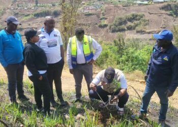 Bukavu : la mairie et la SNEL Sud-Kivu unissent leurs efforts pour la protection de l’environnement autour du barrage de Ruzizi 1