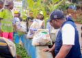Bukavu : la mairie mise sur le reboisement pour redonner à la ville sa parure végétale