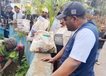 Bukavu : reboisement, entretien des caniveaux et embellissement des bâtiments au cœur des nouvelles mesures.  La mairie annonce des sanctions contre les contrevenants.