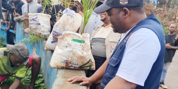 Bukavu : reboisement, entretien des caniveaux et embellissement des bâtiments au cœur des nouvelles mesures.  La mairie annonce des sanctions contre les contrevenants.